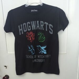 Harry Potter Hogwarts School of Witchcraft & Wizardry Short Sleeve Tee.